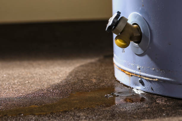 Best Water damage restoration experts  in Rosemont, CA