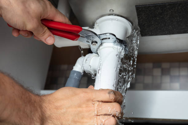 Best Water damage restoration specialists  in Rosemont, CA