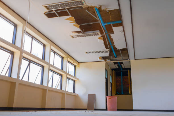 Best Basement water damage restoration  in Rosemont, CA