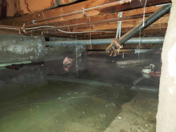 Best Residential water damage restoration  in Rosemont, CA