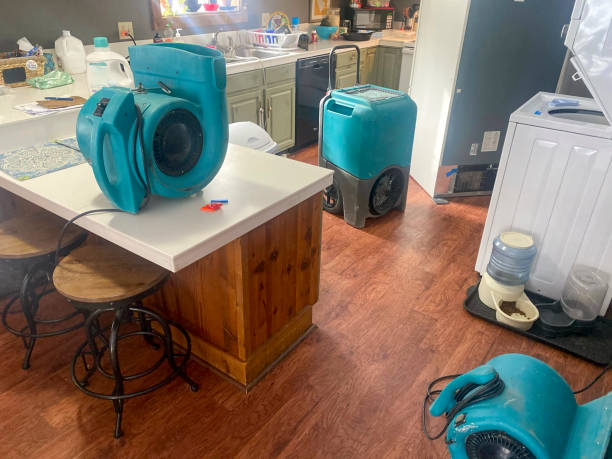 Best Residential water damage restoration  in Rosemont, CA