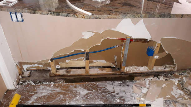 Best Sewage cleanup and water damage restoration  in Rosemont, CA