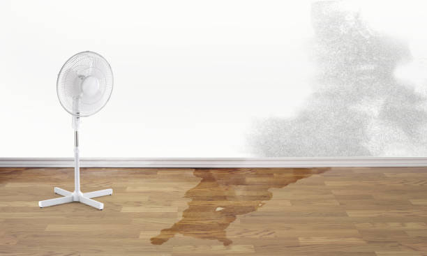 Best Water damage mitigation services  in Rosemont, CA
