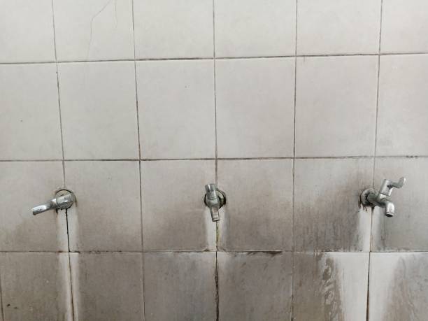 Best Water damage restoration mold remediation  in Rosemont, CA