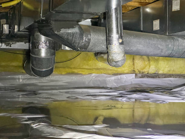 Best Local water damage restoration  in Rosemont, CA