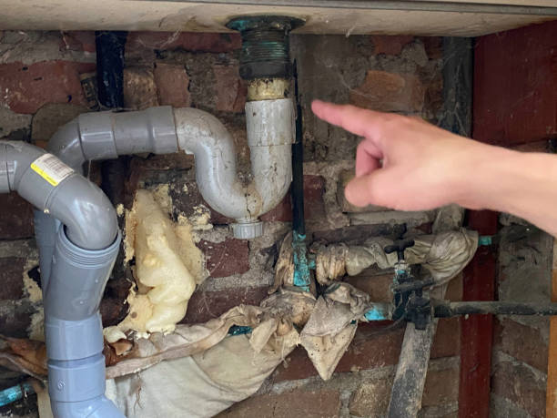 Best Mold removal after water damage  in Rosemont, CA