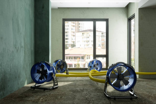 Best Water damage cleanup near me  in Rosemont, CA