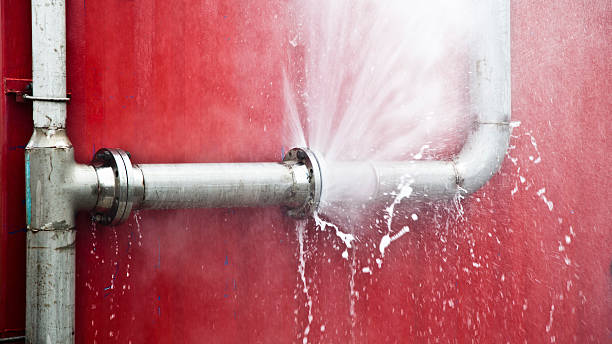 Best Basement water damage restoration  in Rosemont, CA