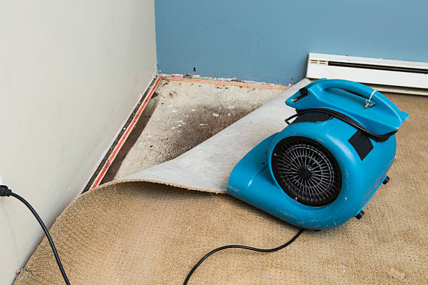 Best Water damage restoration near me  in Rosemont, CA